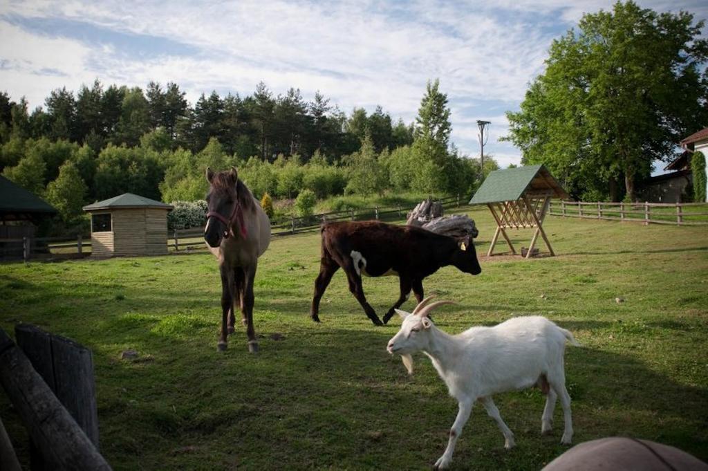 Zielone Wzgorza Villa Bytów Exteriör bild